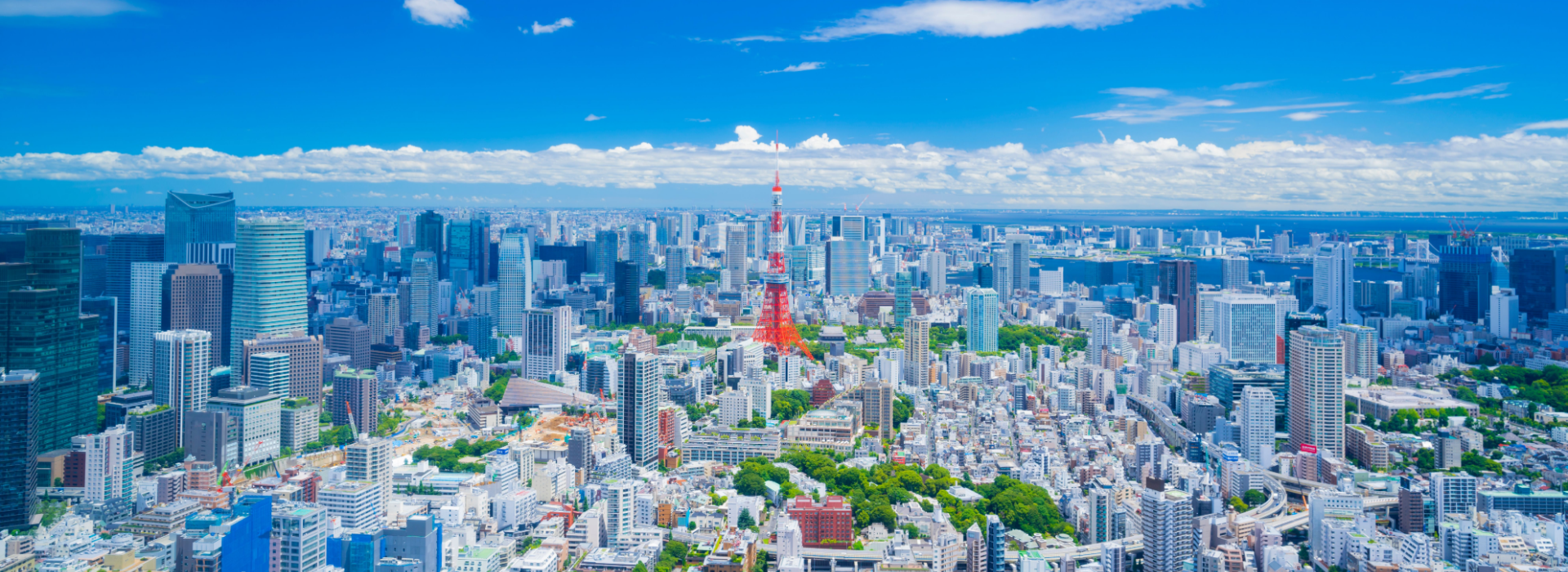 Japan Journey Temples to Towers